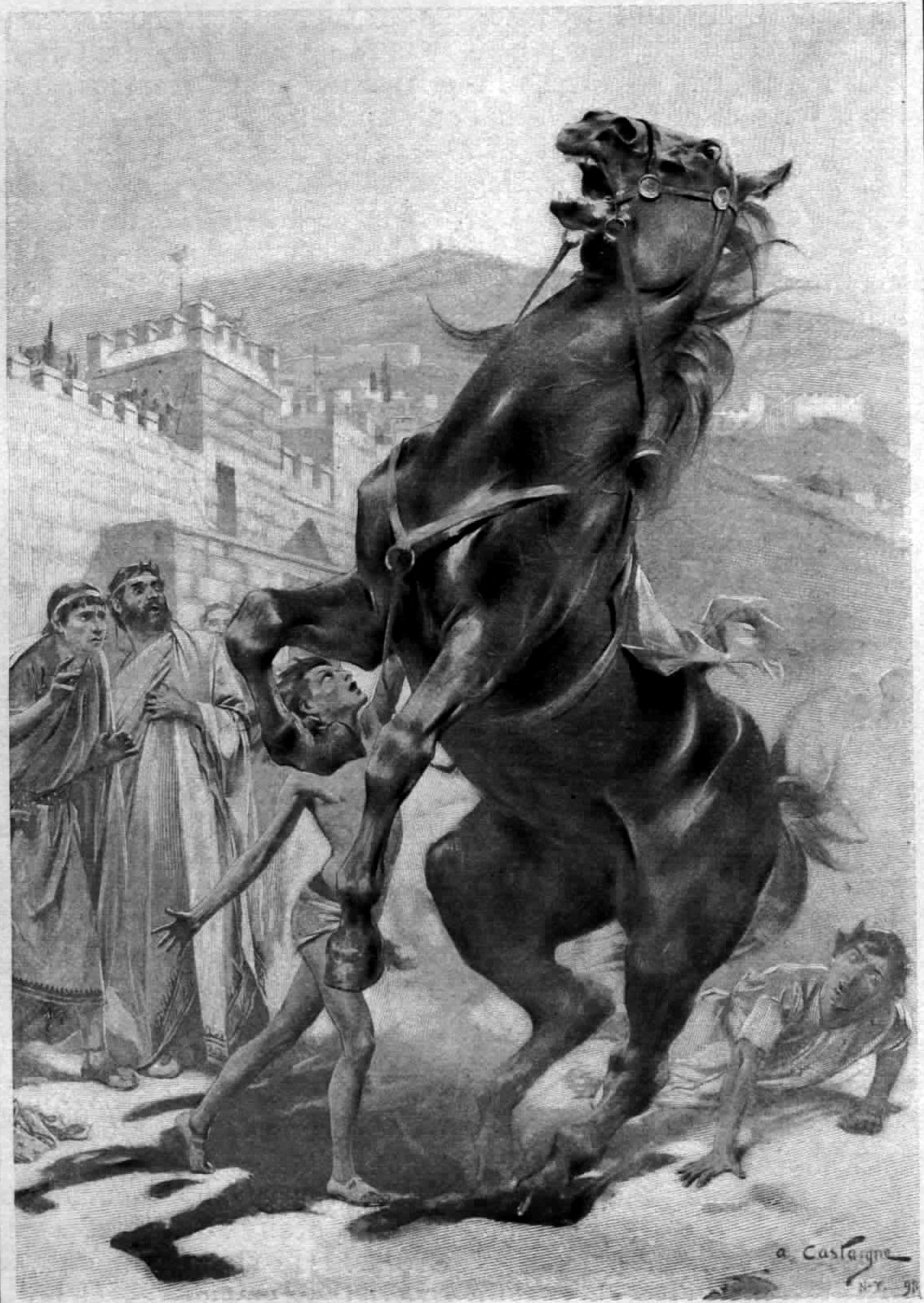 The taming of Bucephalus