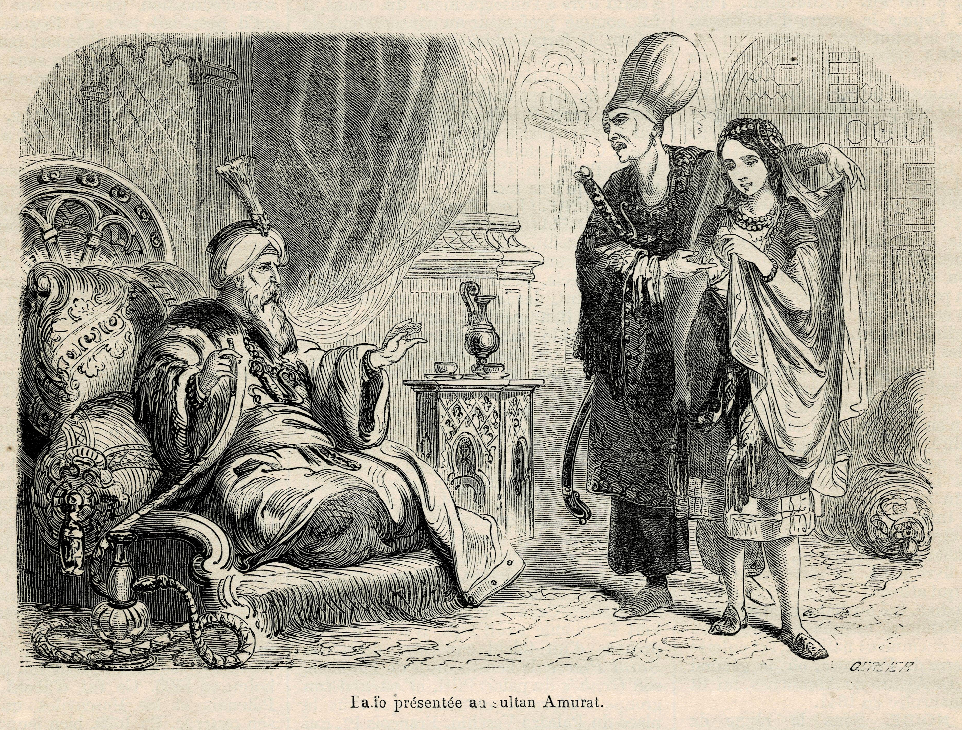 Baffo presented to Sultan Amurat