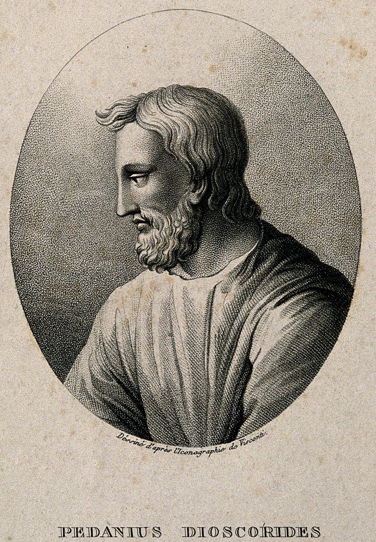 Pedanios Dioscorides