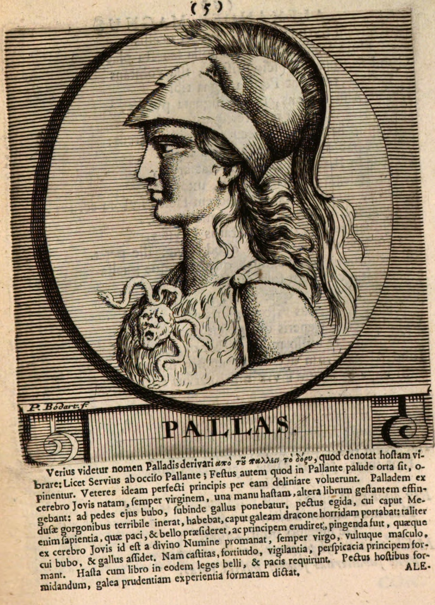 Pallas