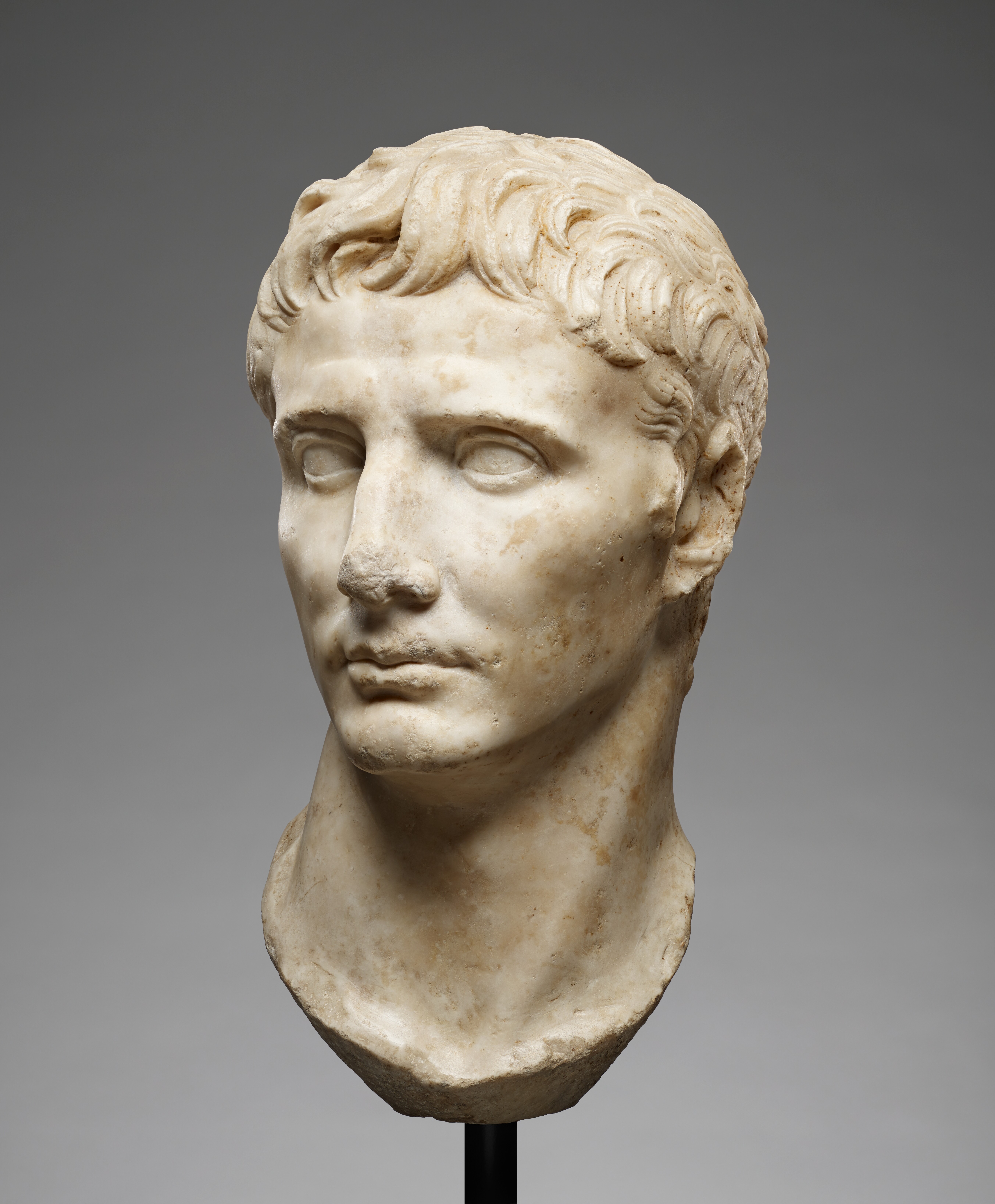 Portrait Head of Augustus 25