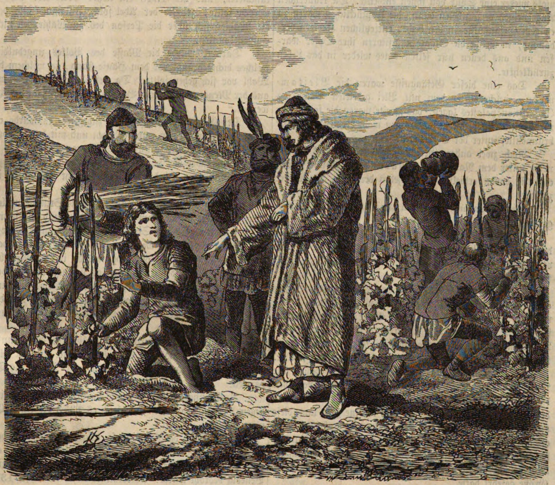 King Louis I of Hungary had the vineyards near Tokay planted