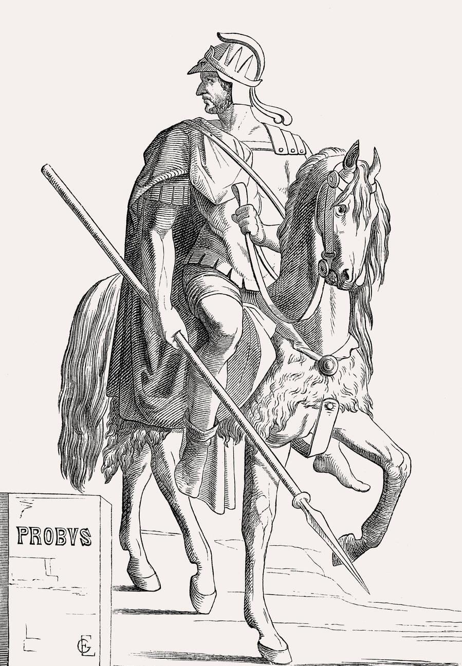 Probus