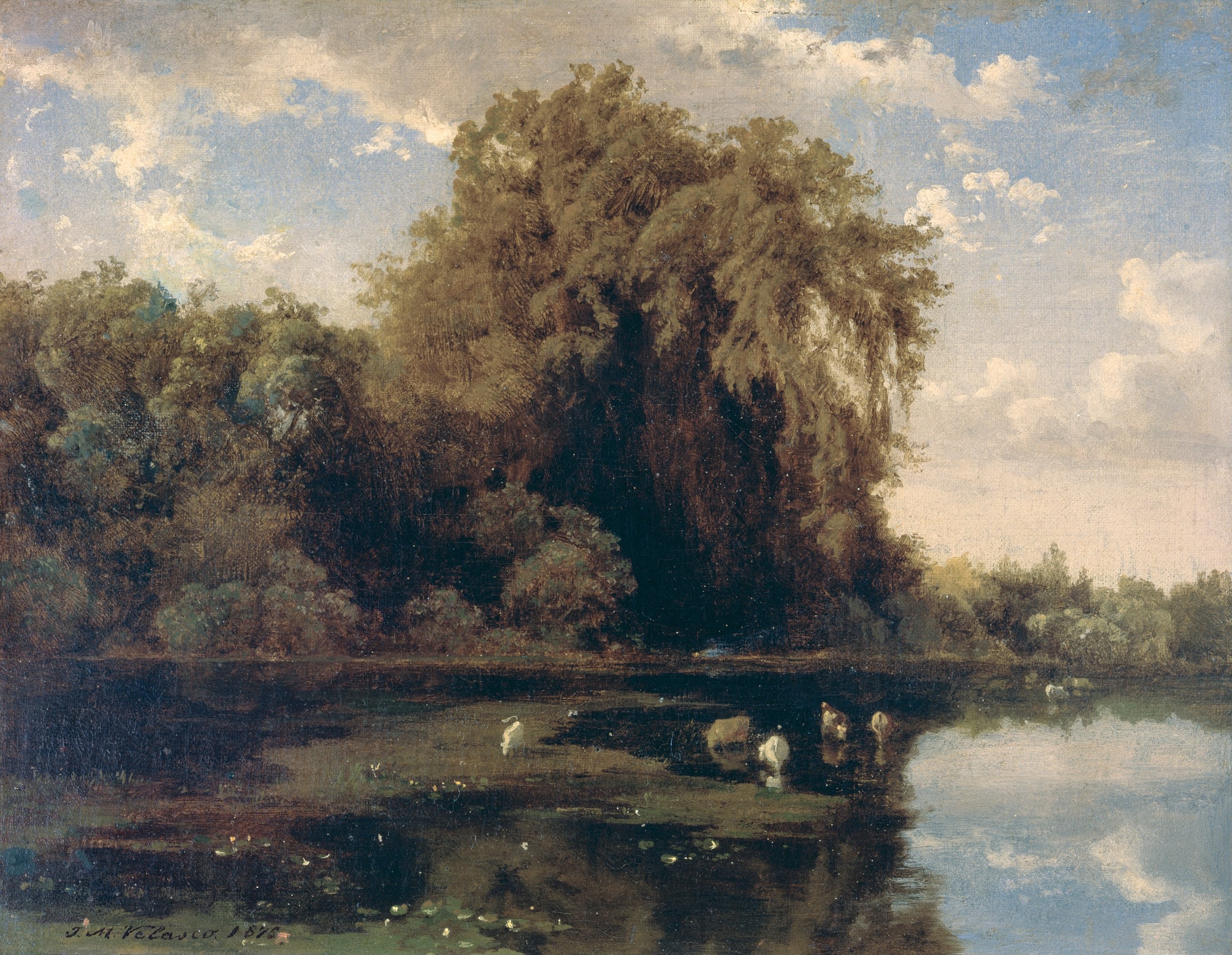 Ahuehuetes de Chapultepec