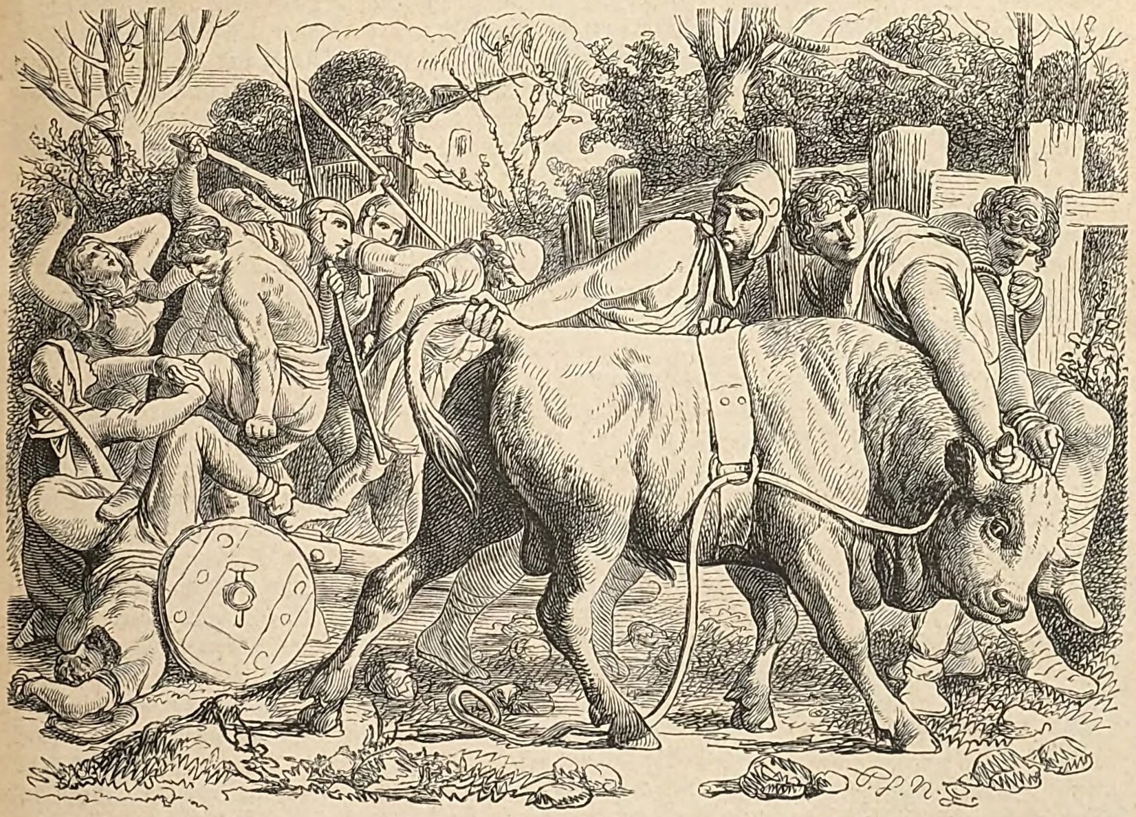 Taxing or confistating bulls of Frisians by Romans