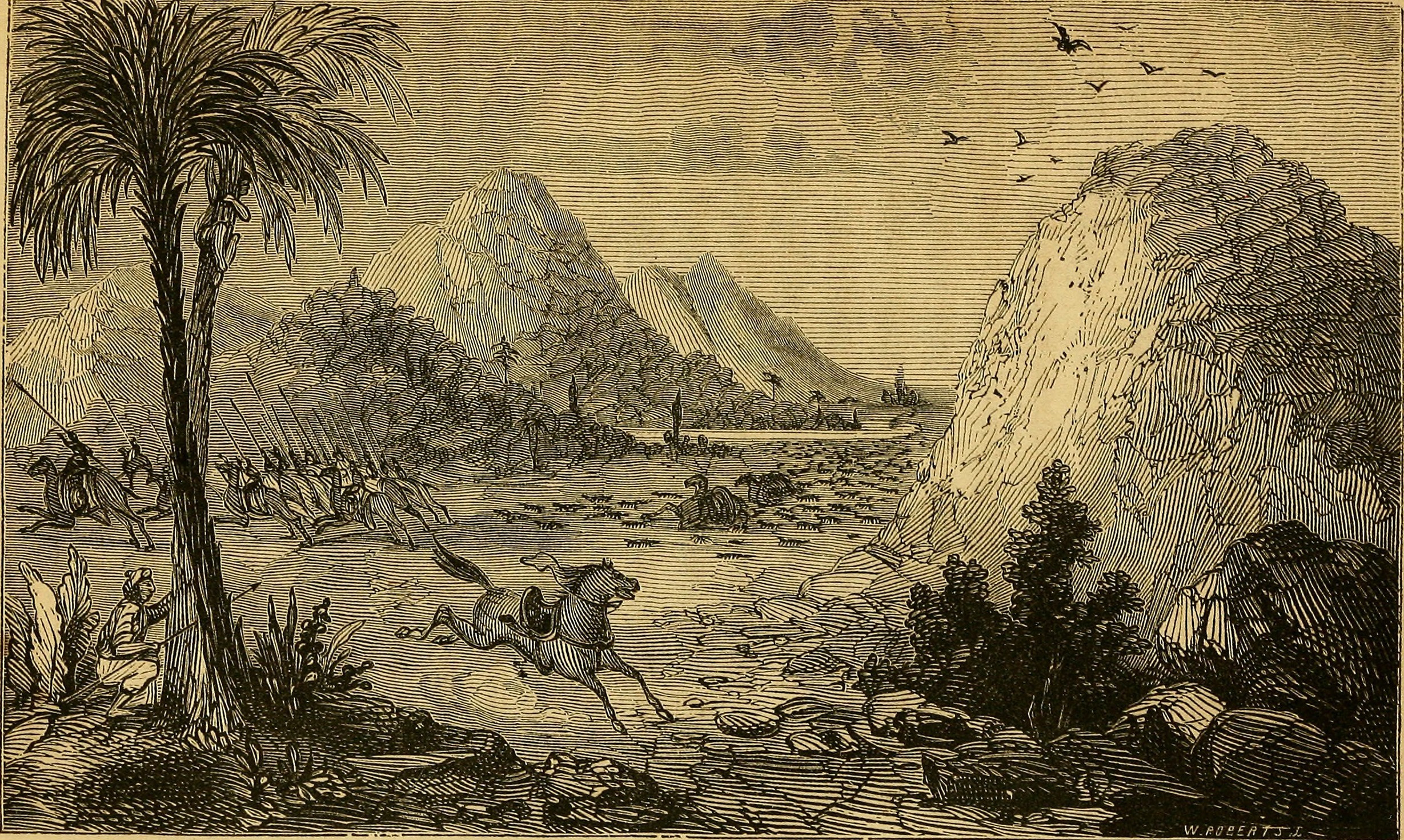 The Indian Gold Hunter
