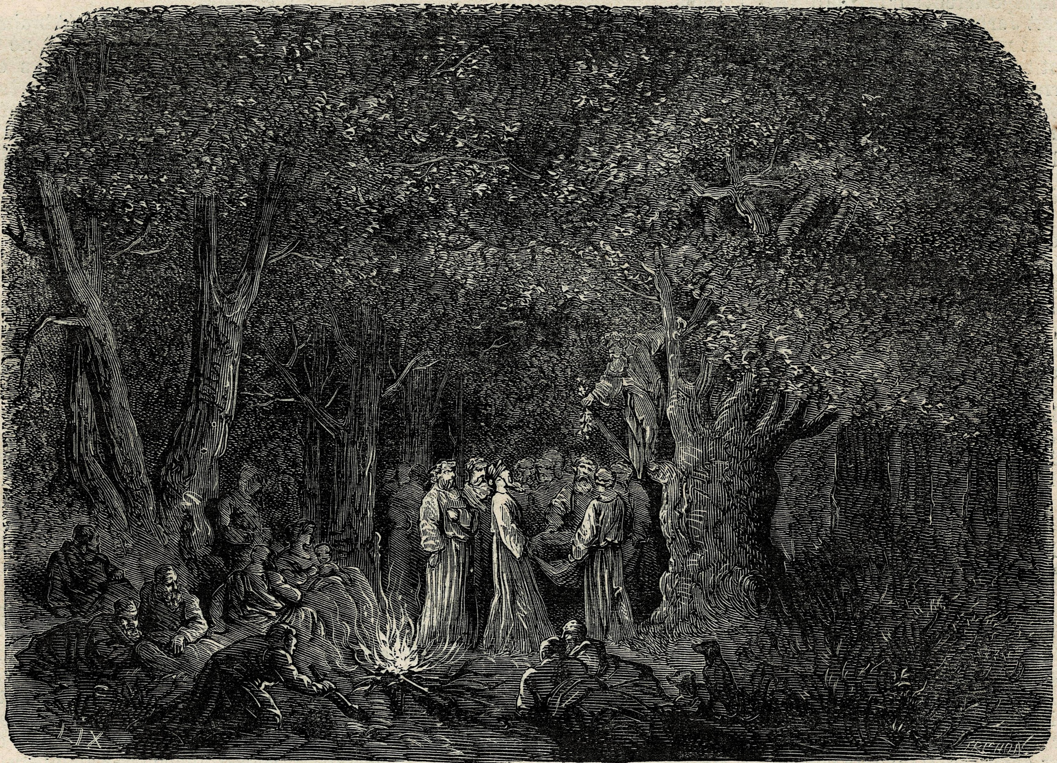 The druids gathering the sacred mistletoe in the forests of Gaul